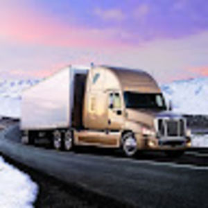 Meet your Posher, Nellie